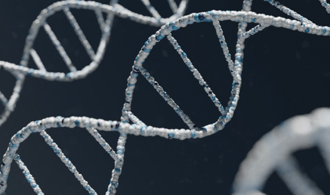 告别春敏恶性循环：氐殊为受损肌肤提供再生修复新路径