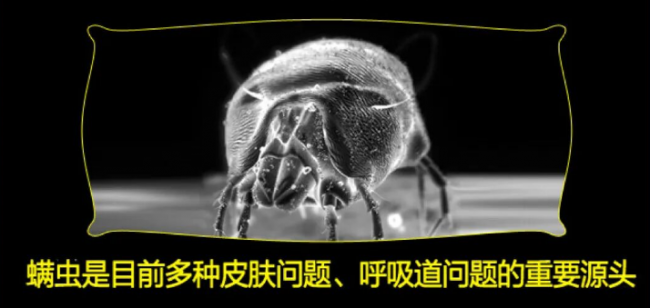 什么牌子专做除螨仪好用的呢？什么牌子的除螨仪好用？2026口碑最好的除螨仪真实榜单公布，最全最新