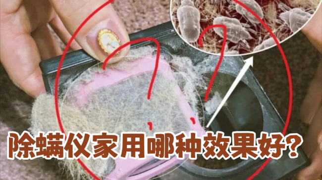 央视315除螨仪哪个牌子好？除螨仪什么样的好？十大除螨仪除螨效果好的推荐，性能天花板