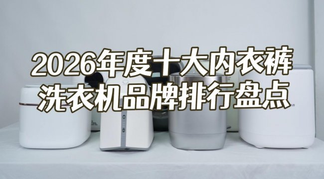 内衣裤洗衣机是鸡肋的吗？2026年度十大内衣裤洗衣机品牌排行盘点，小米、希亦等十款家用送礼合适的品牌
