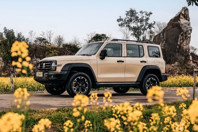 综合补贴至高18000元，这个春天和坦克300共赴向往旅程第3张