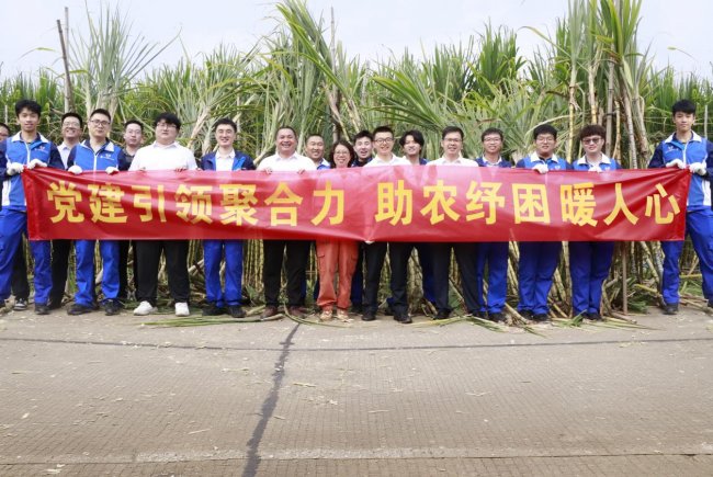 中交广航局广州港总项目部组团砍甘蔗，纾困暖农心