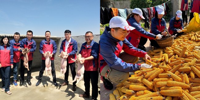 十年笃行向善路 百年善行守担当——百年人寿公益十年践行纪实