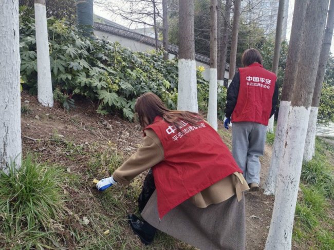 平安融易徐州分公司开展消费者权益保护及环保公益活动