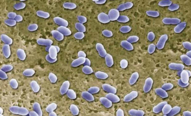 婴儿洗衣机哪一款比较好?2026年顶流售完的婴儿洗衣机分享,石头、希亦、小熊等知名品牌分享~