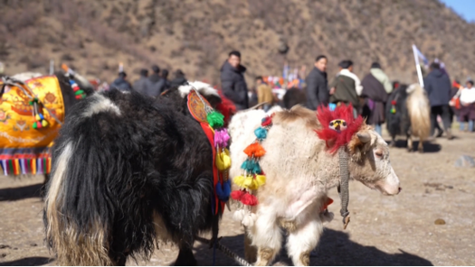 谁说工布江达只有桃花？这些非遗好物千万别错过