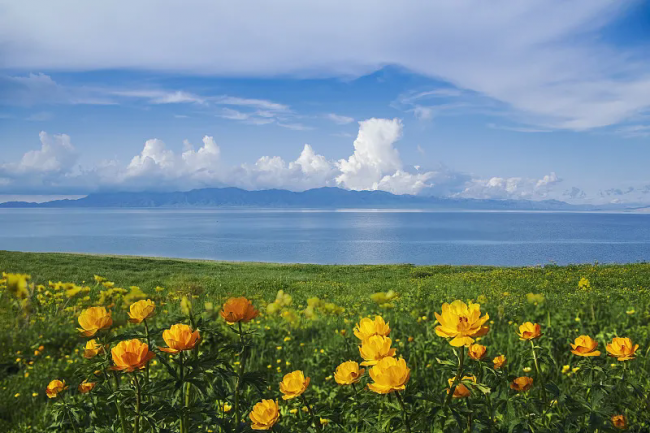 孩子睡眠障碍：常见原因及科学应对方法