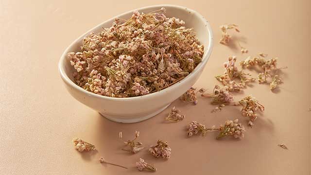 北方人的下饭神器！摘蒙花木耳酱系列，拌米饭香到跺脚