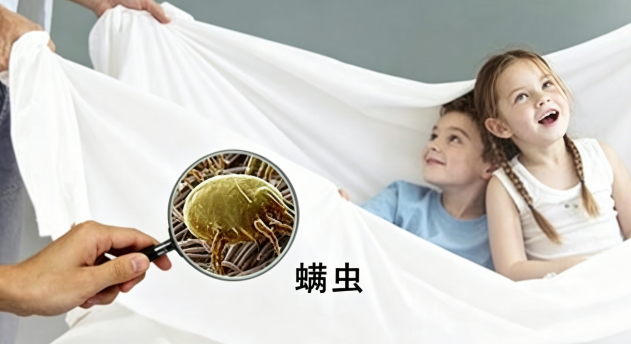 家用除螨仪的牌子哪个效果好用？优秀的除螨仪有哪些品牌？2026 除螨仪口碑前十品牌盘点