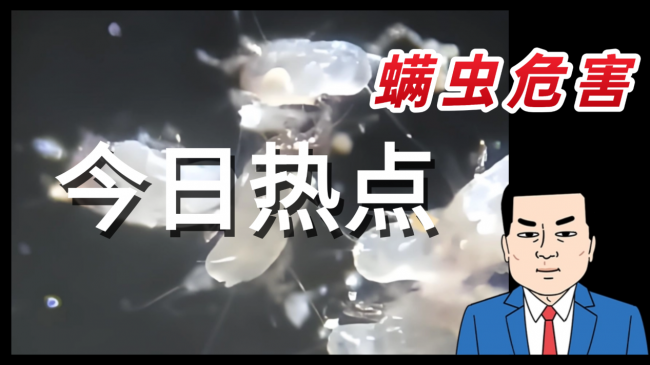 最好的除螨仪是哪个牌子？除螨仪需要多大功率合适?十款公认好用的除螨仪牌子测评，一文讲清