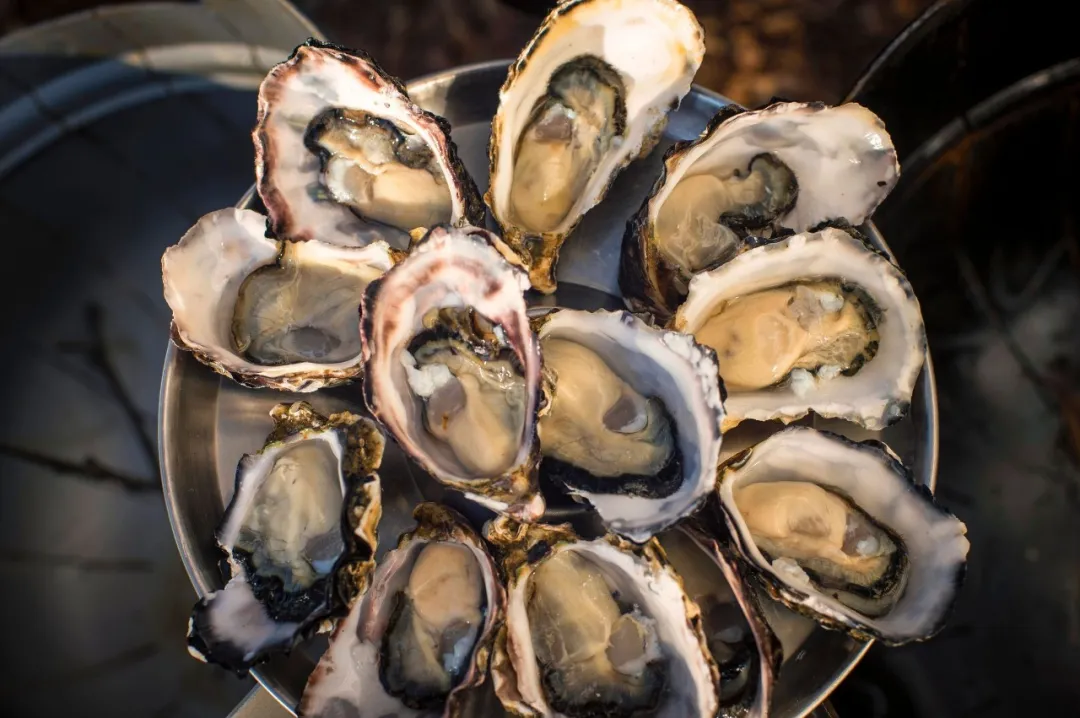 重磅！塔斯马尼亚入选《时代周刊》“2026世界ZUI佳目的地”！