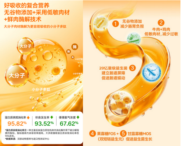 狗粮可以给猫吃吗？实测2026最值得信赖的安全猫粮推荐