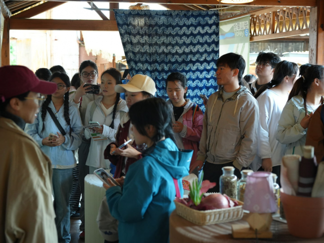 一棵香椿撬动乡村“生活方式样本”：昆明新发社区市集里的共建密码