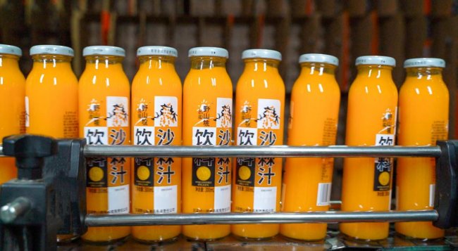 野山坡-沙棘：深耕沙棘产业25载 链主企业领航高质量发展