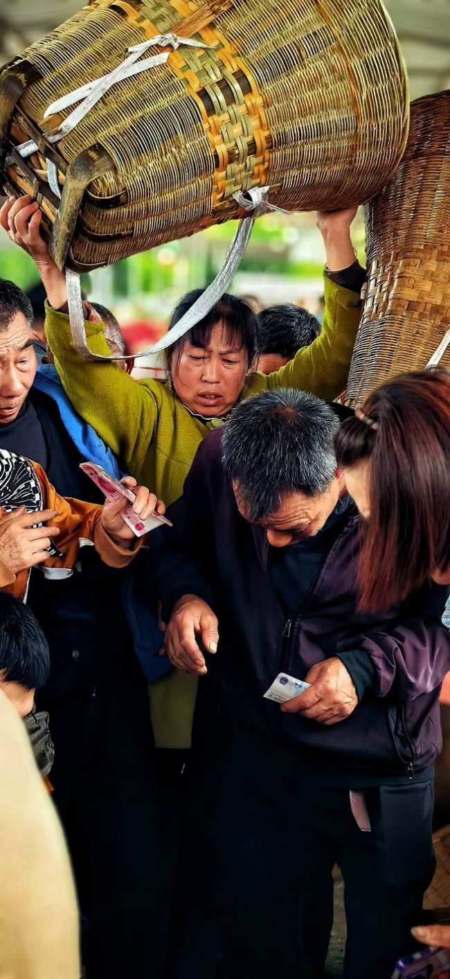 那山·那茶·那人