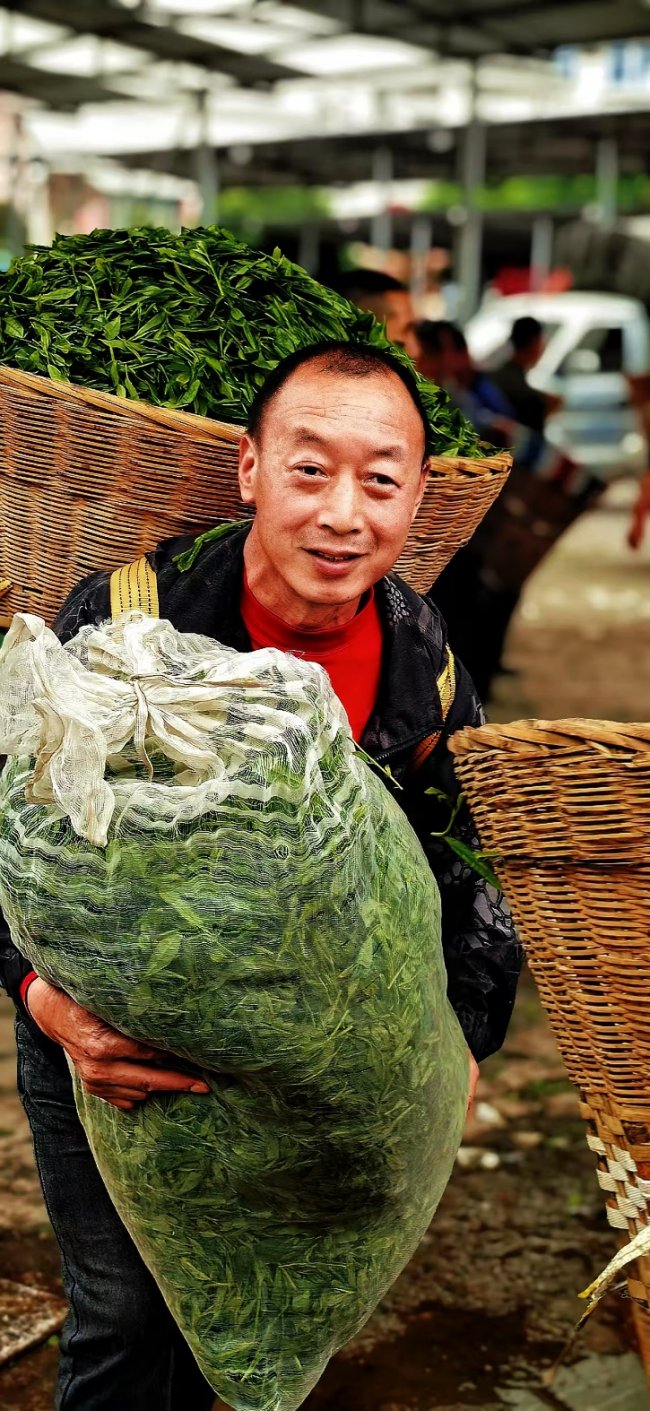 那山·那茶·那人