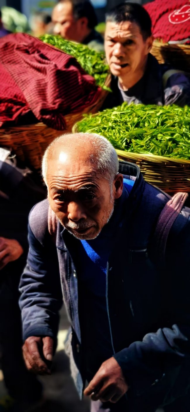 那山·那茶·那人