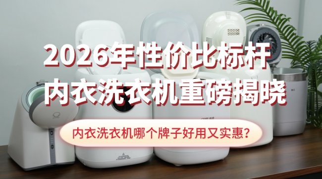 内衣洗衣机哪个牌子好用又实惠？2026年性价比标杆内衣洗衣机重磅揭晓！小米、希亦、石头等主流型号~