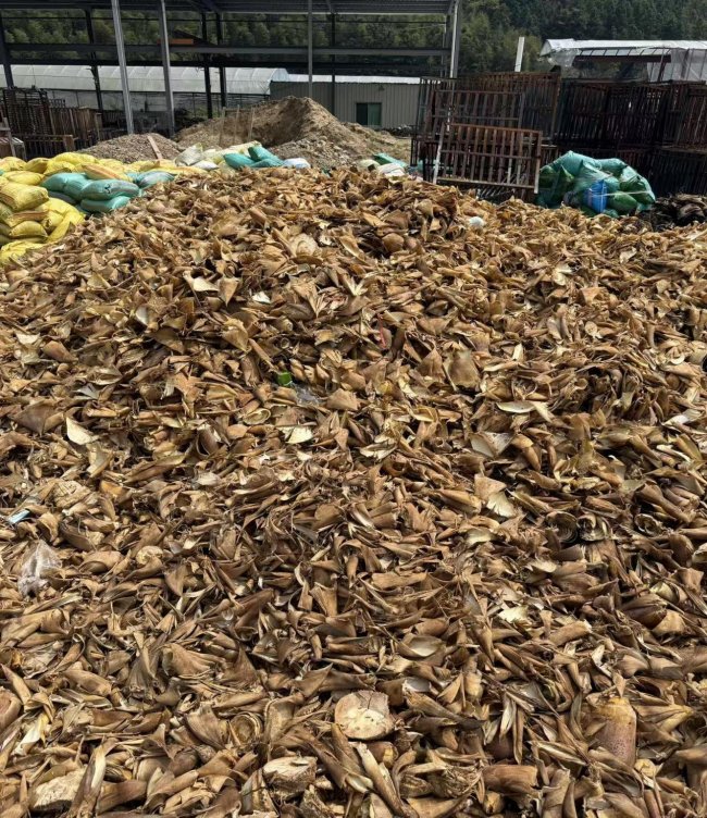 从废弃笋壳到抑草地膜：闽职院学生团队用科