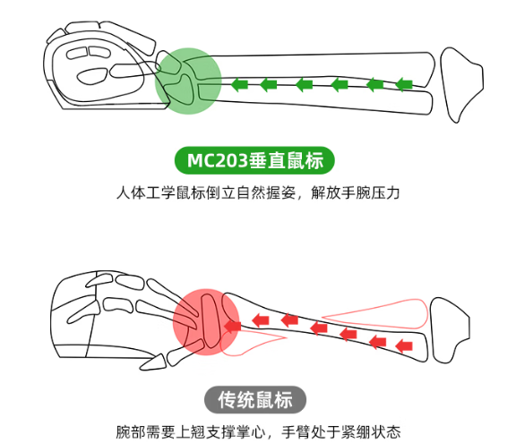 2026年立式鼠标哪个牌子好？推荐10款舒适又实用的人体工学鼠标新选择，立式鼠标选购看这篇！