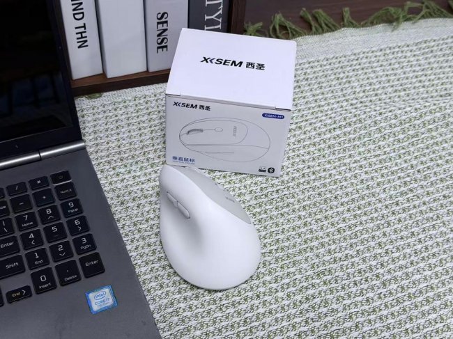 立式鼠标真的对手好吗？2026年十大公认最好的鼠标品牌推荐，提升工作效率与游戏体验！