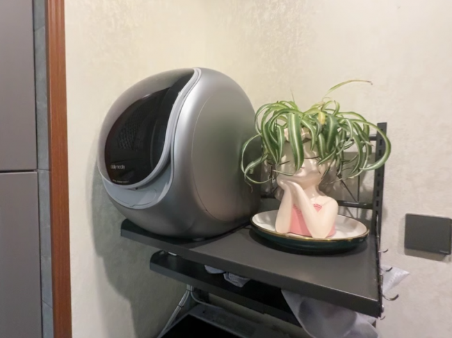 内裤洗衣机哪个牌子好用点？全网夸十大内裤洗衣机排行榜，强烈安利小熊、希亦等十款好用的型号~