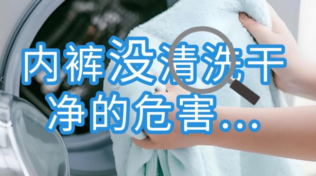 内裤洗衣机哪个牌子好用点？全网夸十大内裤洗衣机排行榜，强烈安利小熊、希亦等十款好用的型号~