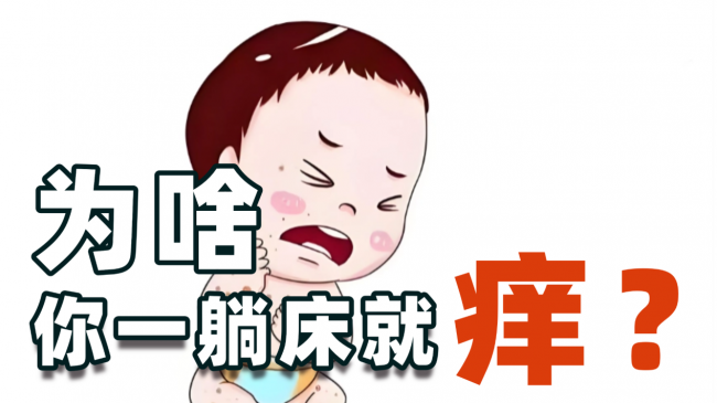 哪个品牌的除螨仪好用又耐用？除螨仪好还是吸尘器好？年度排行前列除螨仪测评新鲜出炉，凭数据说话