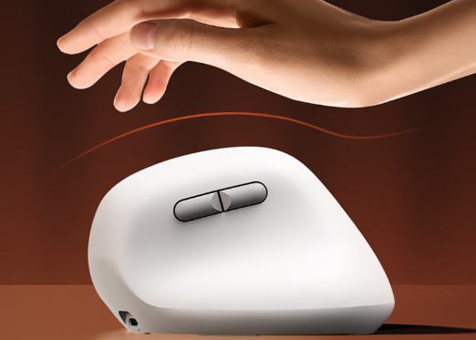 哪个牌子立式鼠标好用?2026年最建议买的10款人体工学鼠标品牌推荐，低延迟/长续航/多设备适配