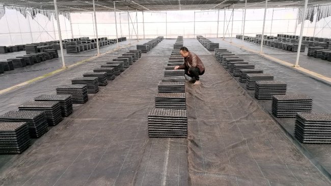 湖北兴山：一张地布改写助农&ldquo;三笔账&rdquo;