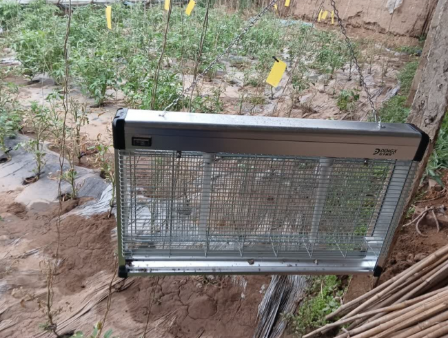 灭蚊器哪个牌子最好？精选2026年灭蚊器排行前十名！美的/希亦等十款知名的灭蚊器品牌盘点~