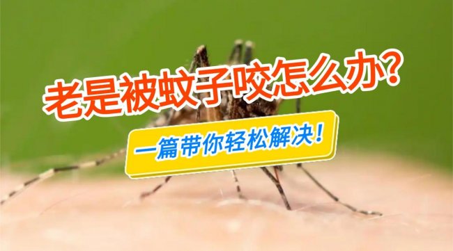 灭蚊器哪个牌子最好？精选2026年灭蚊器排行前十名！美的/希亦等十款知名的灭蚊器品牌盘点~