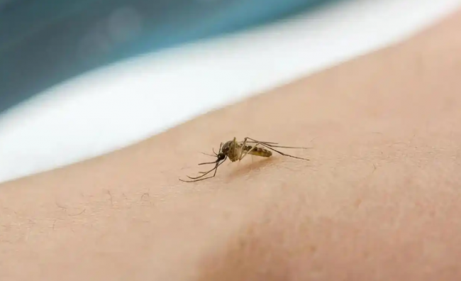 灭蚊器哪种最好？公认10大灭蚊器品牌一次看全：美的、希亦、锐舞等知名灭蚊器品牌大测评！