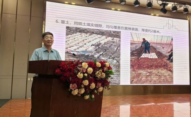 科技引领新质突破 智慧驱动绿富共赢 山东省林下经济及食用菌技术创新大会在德州召开