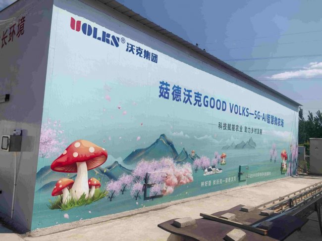科技引领新质突破 智慧驱动绿富共赢 山东省林下经济及食用菌技术创新大会在德州召开