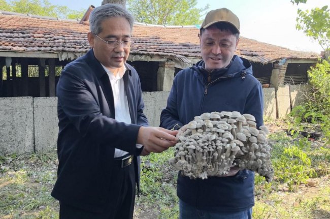 科技引领新质突破 智慧驱动绿富共赢 山东省林下经济及食用菌技术创新大会在德州召开