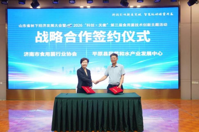 科技引领新质突破 智慧驱动绿富共赢 山东省林下经济及食用菌技术创新大会在德州召开