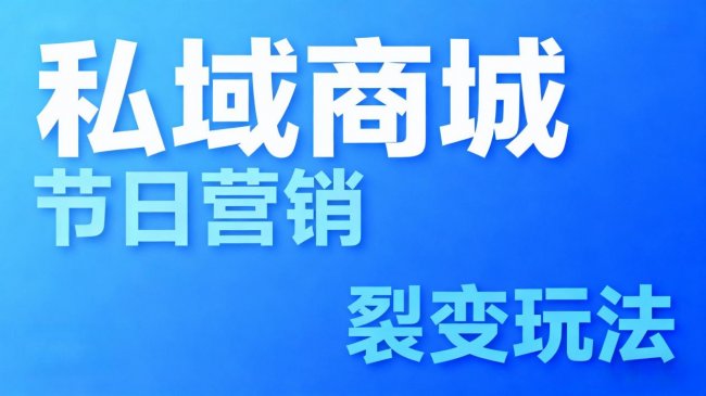 2026私域引流小程序平台测评报告：高性价比选型参考