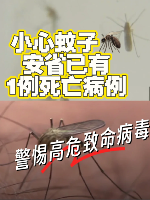 电灭蚊器有用吗?能灭蚊吗?最好用的室内灭蚊灯品牌十大排行榜推荐，物理高效灭蚊