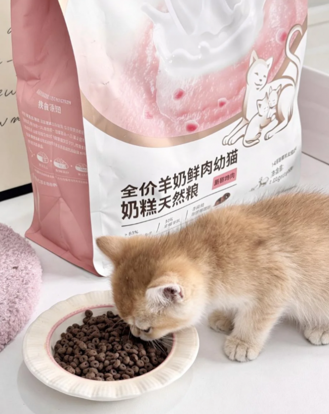 麦富迪奶弗奶糕粮 我家离乳期奶猫猫吃定了