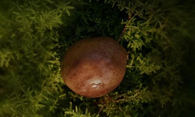2.7万个品牌“团灭”，华熙生物新品牌凭什么敢“掀桌子”？