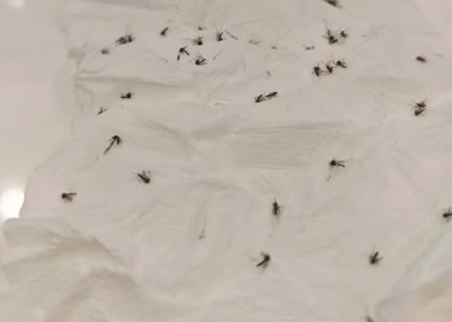 618灭蚊灯家用哪个牌子好？家用电子灭蚊器哪种好？口碑炸裂灭蚊灯十大名牌，母婴家庭必备！