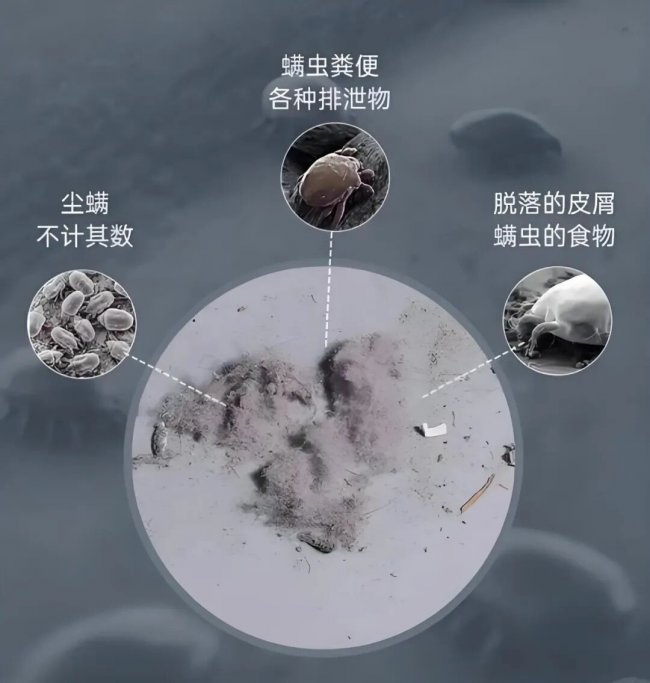 全屋甲醛慢释放 + 尘螨双超标应对方案：新房老房翻新必看的空气净化器选择指南