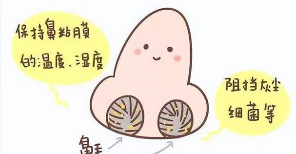 鼻毛修剪器真的好用吗？鼻毛修剪器好不好用？鼻毛修剪器推荐2026