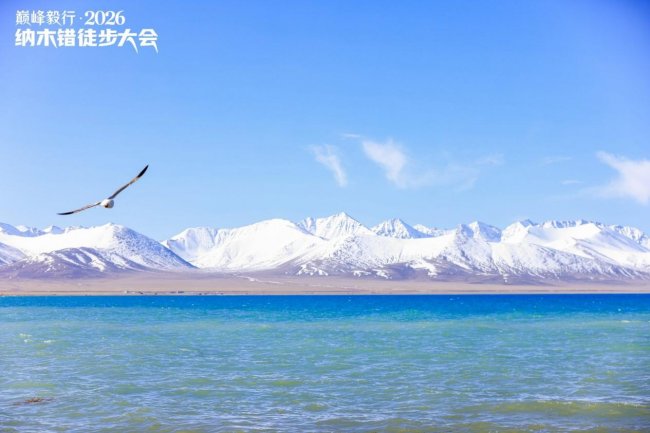 湖开纳木，步履当雄 | 巅峰毅行·2026纳木错徒步大会圆满结束