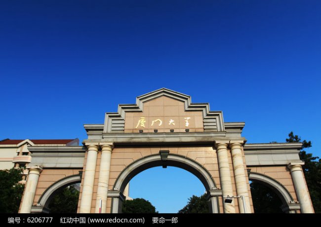 AI浪潮下的“追光者”：为何他们选择奔赴厦大课堂？