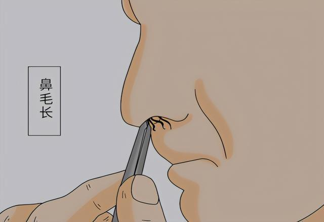 男的鼻毛可以剪吗？男人鼻毛怎么处理？2026电动鼻毛剪品牌排行