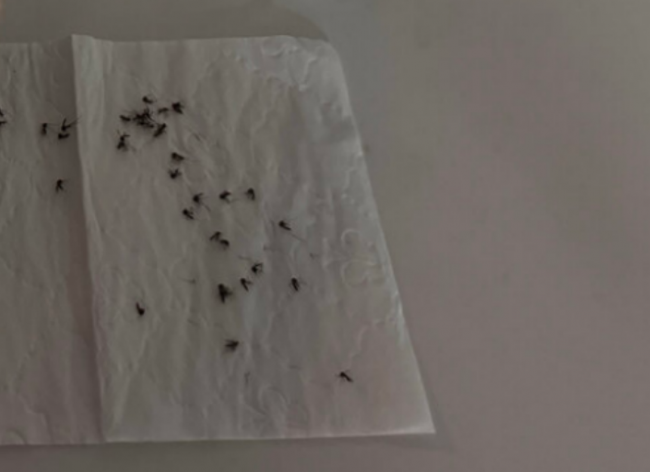 618买什么最好?盘点十大618最好的家电好物!海尔/希亦/小米/苏泊尔等知名家电好物分享~