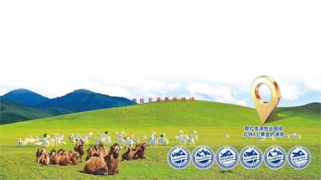 深挖地域特色好物｜2026 十大排名新疆哪个驼奶粉好多款好物对比