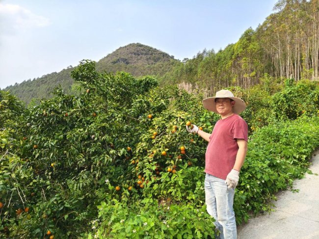 双胞胎集团：生态水肥惠泽万千果农